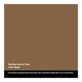 thumbnail image 2 of Barniz Tinte para Madera Meridian Nogal Brillante 1 Litro, 2 of 4