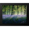 thumbnail image 2 of Goncalves, Adelino 24x19 Black Modern Framed Museum Art Print Titled - Last of The Bluebells, 2 of 5