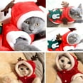 thumbnail image 5 of 310PCS - Juguete para gatos - Estilo bola de menta, 5 of 5