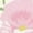 style-2, variant on Floral Colorful Flower Women's Short Sleeve T-Shirt Crew Neck Casual Summer Trendy Loose Fit Tops