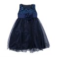 thumbnail image 1 of PENGXIANG Fleur Fille Robe Dentelle Solide Bébé Princesse Concours Partie Robes de Demoiselle d'Honneur, 1 of 4