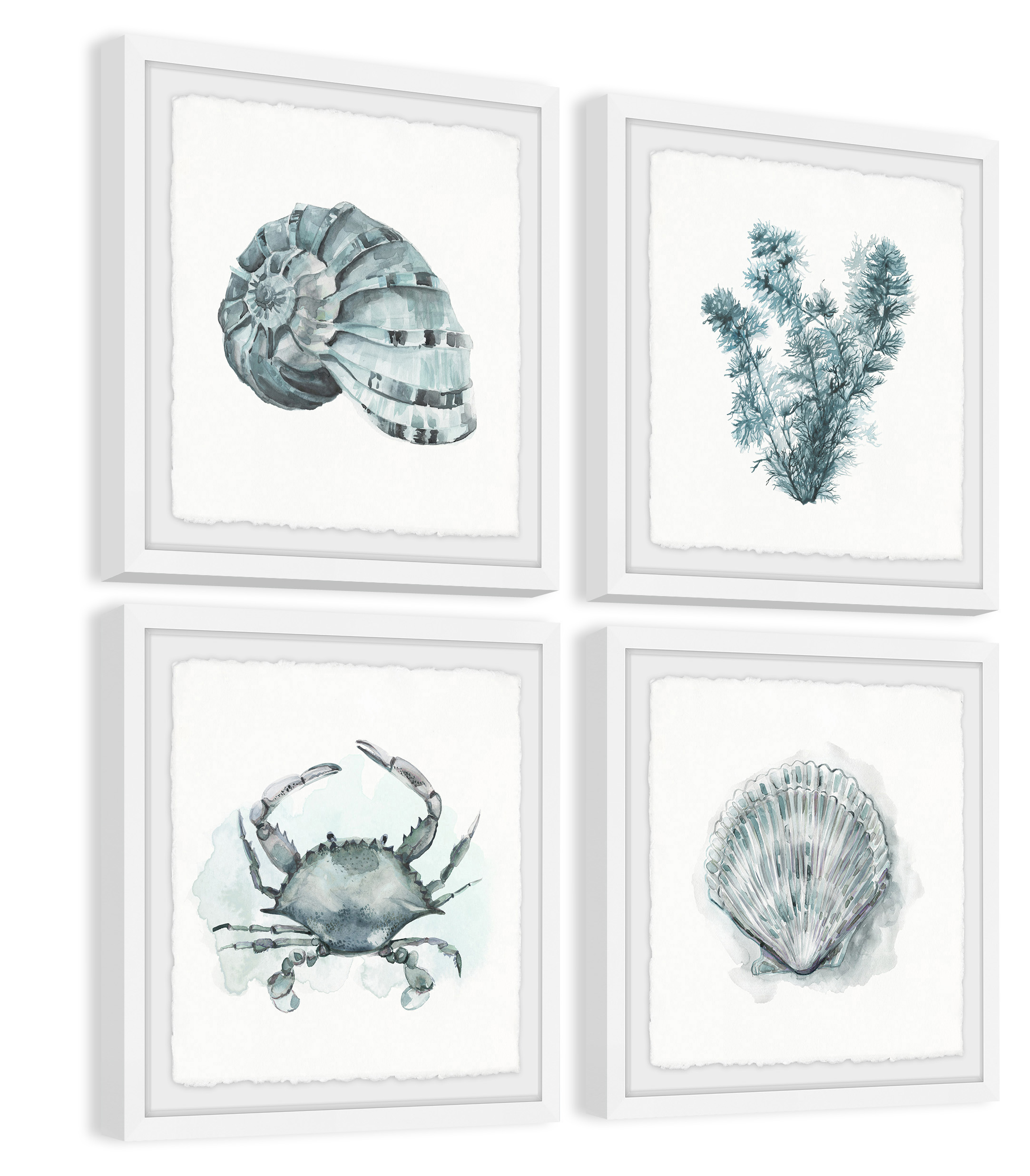 Marmont Hill Sea Life Quadriptych