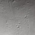 thumbnail image 4 of Jamie Young Co Sculpt Fiberglass Side Table Cream, 4 of 4