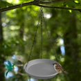 thumbnail image 1 of Comedero y bebedero colgante para pájaros, estación de agua para pájaros, decoración de jardín, comedero para colibríes al aire libre para balcón, , Gris, 1 of 8