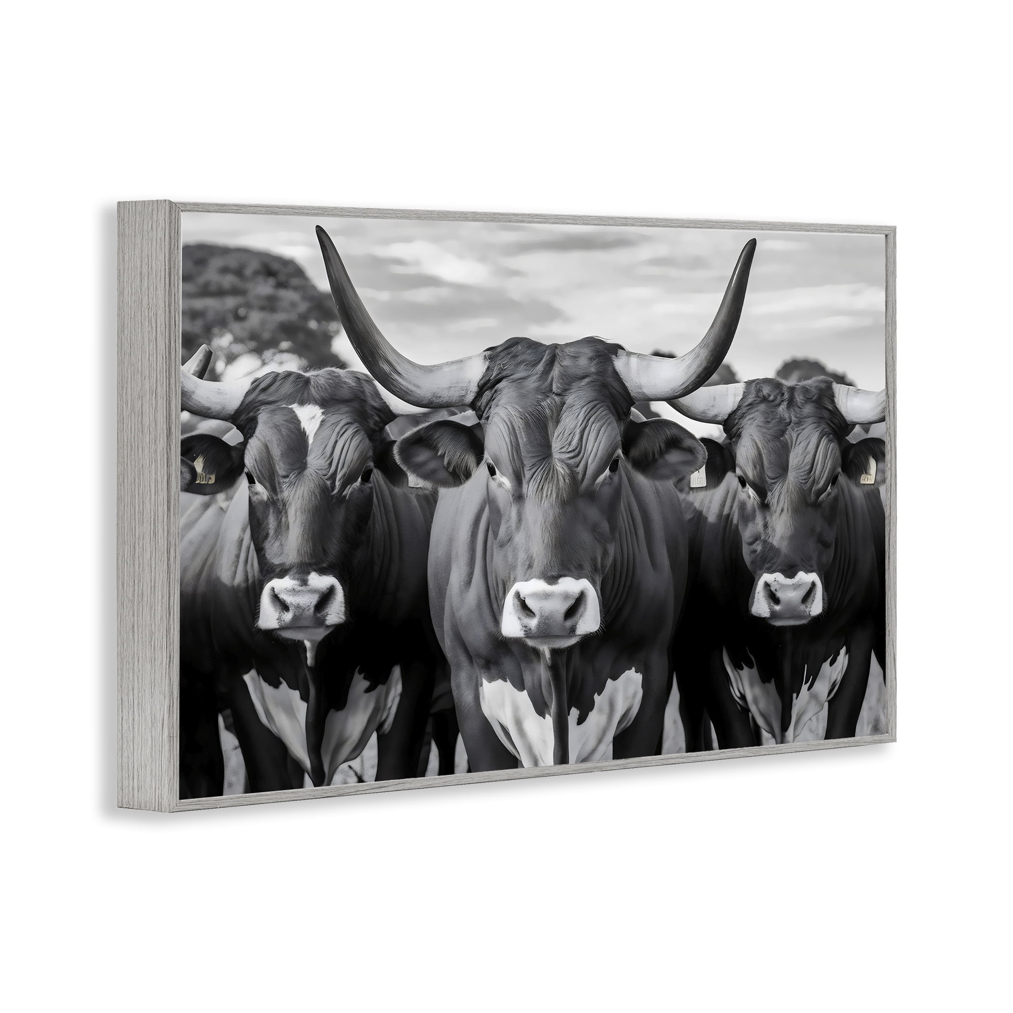 Stupell Industries Three Longhorns in a Row Gray Framed Giclee Art, design by Creative Studio