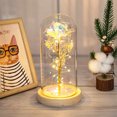 thumbnail image 1 of Rose Light Artificial Gold Foil Galaxy Rose Lámpara con 3 modos de iluminación LED Rose Flowers en vidrio Regalos con pilas para mujeres Niñas para bodas Día de la madre Día de San Valentín Muyoka Hogar, 1 of 6