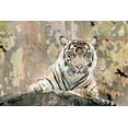 thumbnail image 2 of Allen, Kimberly 24x17 Black Ornate Wood Framed with Double Matting Museum Art Print Titled - Tiger Love, 2 of 4