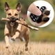 thumbnail image 4 of Botas y pantuflas para perros, protectores de patas para perros, protectores de patas con suela antideslizante - XL, 4 of 5