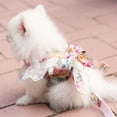 thumbnail image 2 of MesaSe Princess Dog Harness With Bowknot and Leash For Outdoor Walking, 2 of 6