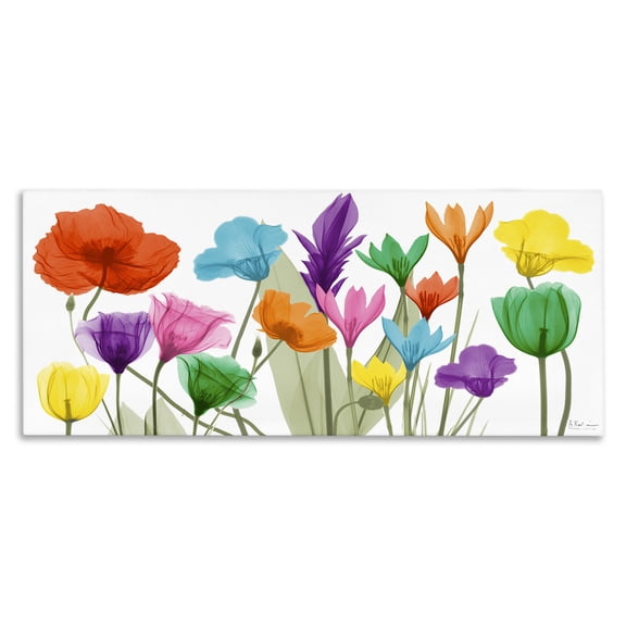 Stupell Industries Eclectic Bold Spring Floral Arrangement Translucent Plant Photography Canvas Art, 24 x 10, by Albert Koetsier