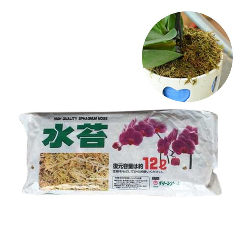 Plastic Bouquetsphagnum Moss Garden Bonsai Moisturizing Nutrition Organic Fertilizer For Garden Phal Walmart Com Walmart Com Plastic Bouquetsphagnum Moss Garden Bonsai Moisturizing Nutrition Organic Fertilizer For Garden Phal Walmart Com Walmart Com
