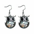 thumbnail image 2 of QIQUWOHUL Vintage Owl Animal Colorful Earrings Female Personality Geometric Earrings Jewelry Temperament Crystal Earrings, 2 of 9
