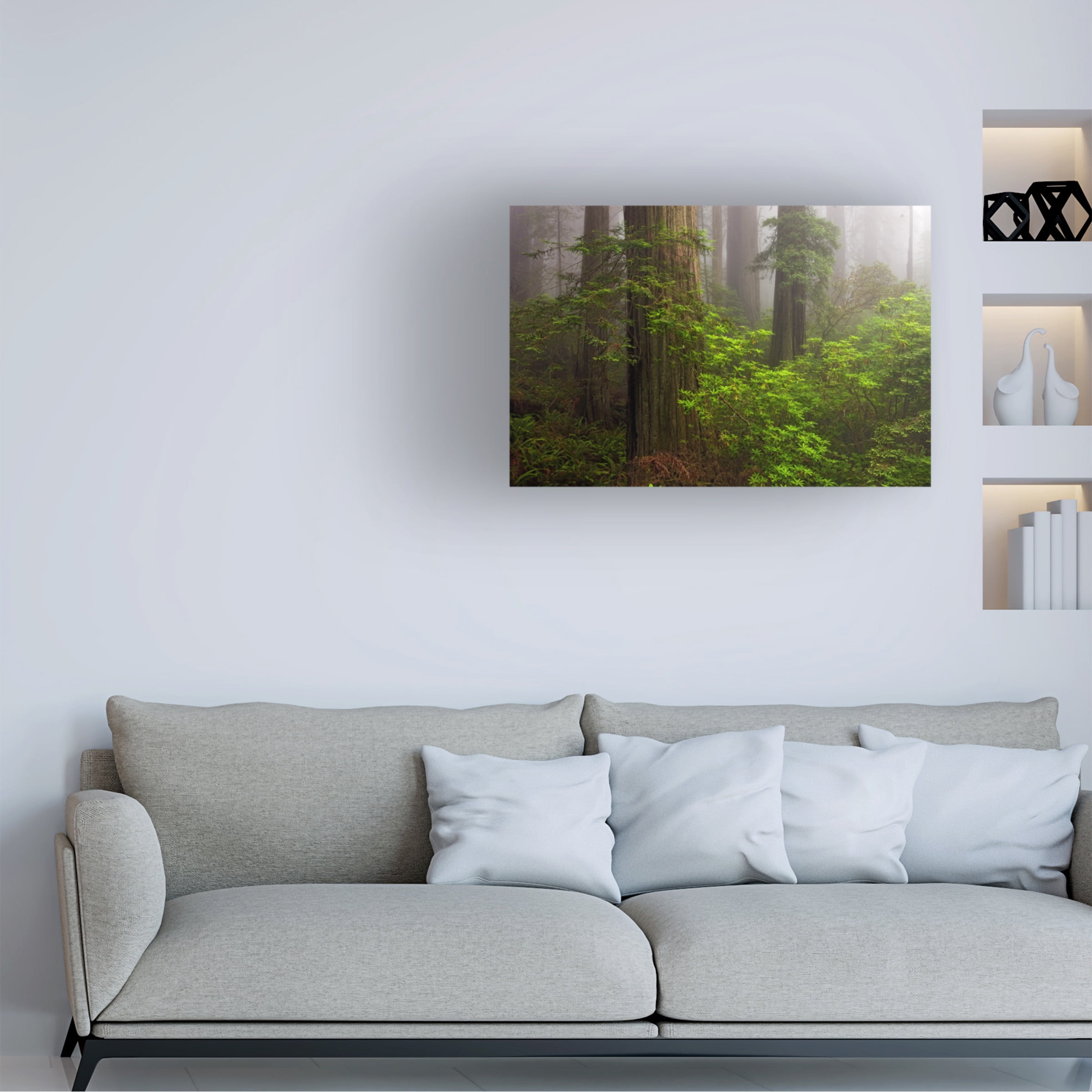 Trademark Fine Art 'Redwoods Fog' Canvas Art by Mike Jones Photo
