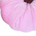 thumbnail image 3 of Txlixc Mini - calabazas de terciopelo, pequeñas calabazas artificiales para decoraciones de Acción de gracias Txlixc  moda, 3 of 9