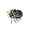 #3 Brown, variant on POSORJU Halloween Spider Decorations Halloween Express Light-Up Walking Fuzzy Spider Animated Prop, Pink Scary Giant Spiders, Halloween Party Decorations, Large Haunted House Props