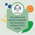 thumbnail image 4 of Gerber Organic Stage 2 Baby Food, Sweet Potato Apple Carrot Cinnamon Puree, 4 oz, Jar, 4 of 5