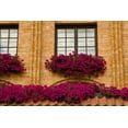thumbnail image 2 of Ross, Nancy ,  Steve 18x13 Black Ornate Wood Framed with Double Matting Museum Art Print Titled - Poland, Gdansk Window boxes with purple petunias, 2 of 4