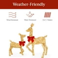 thumbnail image 6 of Best Choice Products 3-Piece 2D Deer Family Set, Lighted Christmas Outdoor Decoration w/ 175 Lights, Stakes - Gold, 6 of 8
