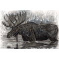 thumbnail image 2 of Bawden, Angela 14x11 Gold Ornate Wood Framed with Double Matting Museum Art Print Titled - Majestic Moose, 2 of 4