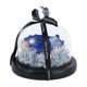 thumbnail image 3 of Preserved Flower Rose in Glass Dome Birthday Present for Women Blue 4.7×4.7×4.9in 1Pcs, 3 of 5