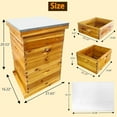 thumbnail image 5 of PRIJESSE Beginner Bee Hive Kit for Beekeeping - 3-Tier Langstroth Design with Waterproof Cover & Ventilation, 5 of 5