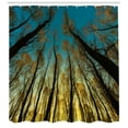 thumbnail image 3 of Ambesonne Forest Shower Curtain, Trees Sunrise Pastoral, 69"Wx70"L, Yellow Blue Black, 3 of 3