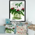 thumbnail image 3 of Designart 'White Vintage Orchid Flower I' Traditional Framed Art Print, 3 of 4