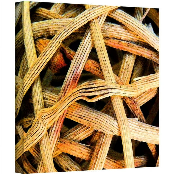 Dean Uhlinger "Basket Sphere" Gallery-Wrapped Canvas