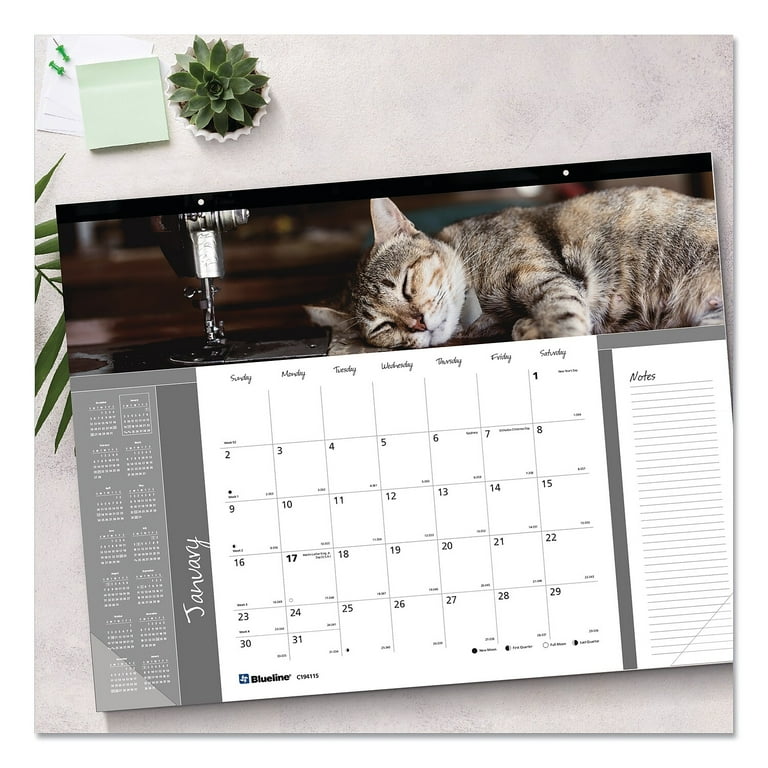 2024 Blueline Pets Collection 22 2024-blueline-pets-collection-22-x-17-monthly-desk-pad-calendar-furry-kittens-redc194115-walmart-com