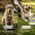 thumbnail image 4 of Stool Eating Solution for Dogs, No Poo Chews for Dogs, Premium Grain‑Free Coprophagia Formula to Encourage Good Habits and Help Stop Dog from Eating Poop, 120 Chews, 4 of 8