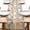 Sardines Fish, variant on Coastal Sardines Fish Crayfish Dining Table Runner, Beach Seafood Lobster Crab Tomato Burlap Kitchen Decoration, Nautical Stripes Indoor Outdoor Home Decor Crawfish Boil Party Supply 13''x72''