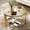 Transparent, variant on 31.5" Modern Round Glass Coffee Table with Asymmetrical Metal Base & Lower Storage Shelf, Contemporary Living Room Centerpiece(Transparent)