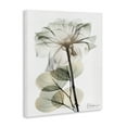 thumbnail image 3 of Stupell Industries Modern Minimalist Buds Floral Painting Wrapped Canvas Canvas Art Print Wall Art, 36 x 48, 3 of 7
