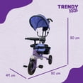 thumbnail image 4 of Triciclo Alpha Morado Trendy Kids Con Toldo, 4 of 6