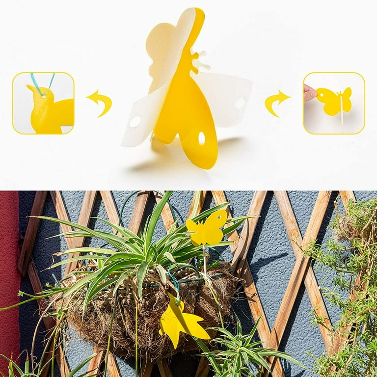 Sticky Trap,Fruit Fly and Gnat Trap Yellow Sticky Bug Traps for