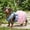 Blue1, variant on WOHAPY Upgrade Pet Dog Kitty Striped Dress, Cute Princess Skirt, for Small Dogs Cats, Multiple Sizes Blue L