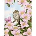 thumbnail image 1 of Carolines Treasures ASA2088GF Spotted Flycatcher Flag Garden Size, 1 of 3