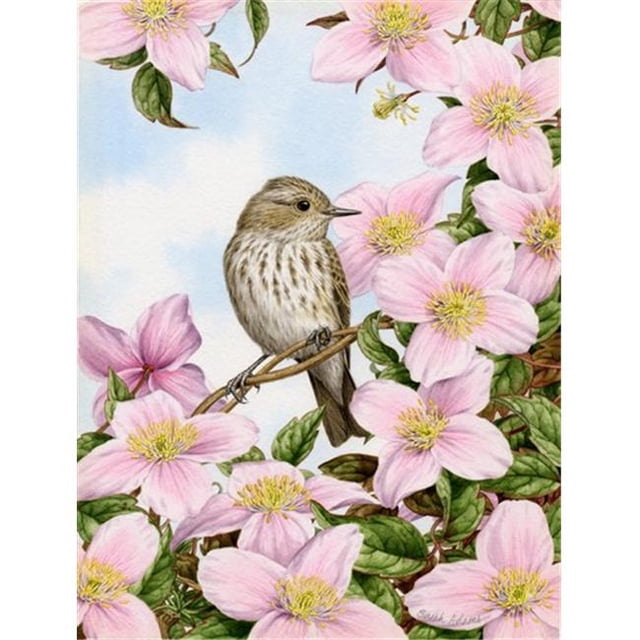 Carolines Treasures ASA2088GF Spotted Flycatcher Flag Garden Size