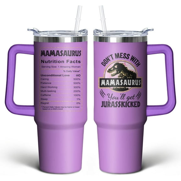 30oz Mamasaurus Tumbler with Handle and Straw, Don''t Mess with Mamasaurus You''ll Get Jurasskicked, Coffee Mug Water Bottle Stainless Steel Cup, Mothers Day Christmas Birthday Gift