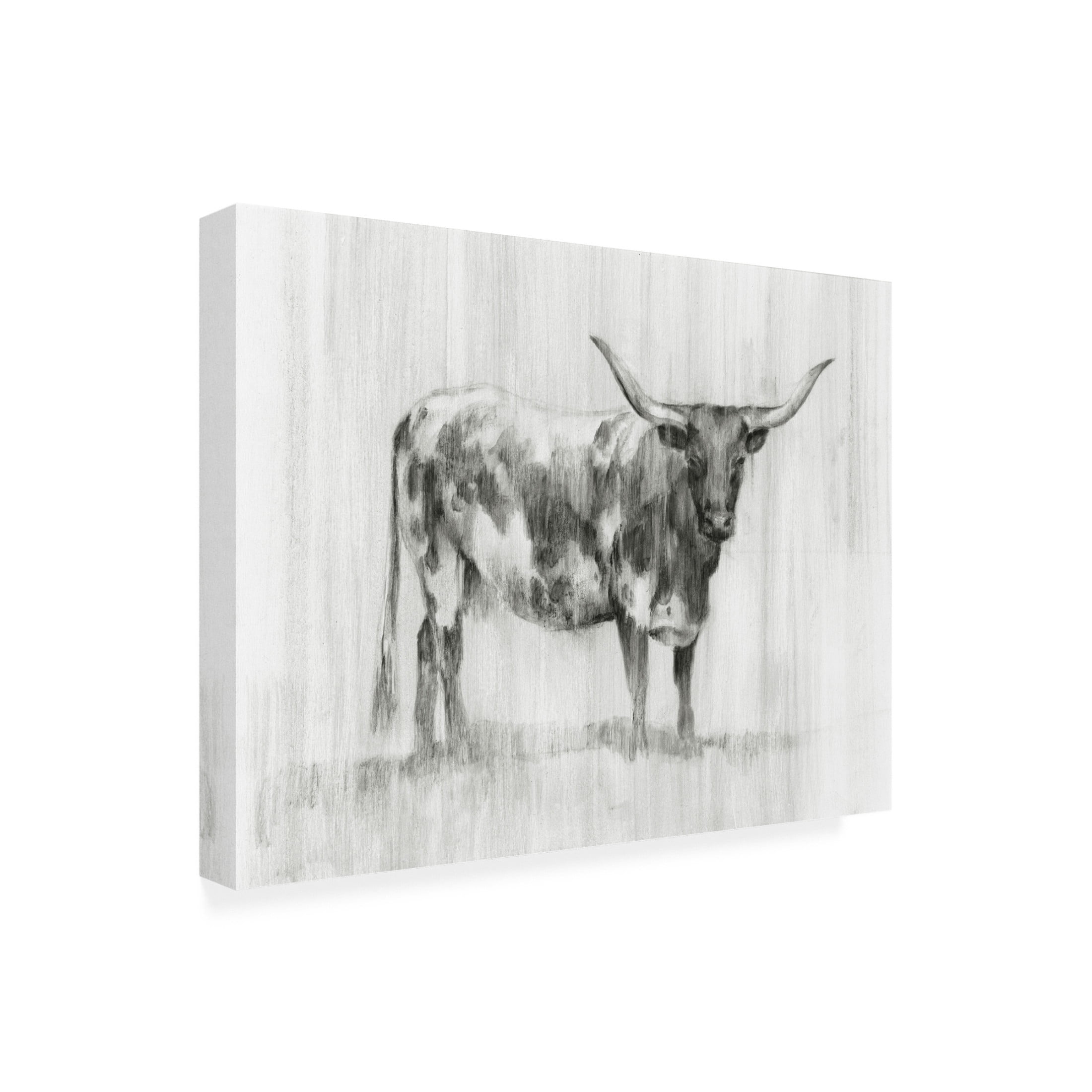Canvas Wall Art - Ethan Harper 'Rustic Bovine I' Wall Art for Living Room, Bedroom, or Office Décor by Trademark Fine Art - 47 x 35 Inches