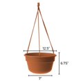 thumbnail image 3 of Cesta colgante Bloem Dura Cotta Resina Terracota 17x32x31cm, 3 of 8