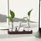thumbnail image 3 of Florero hidropónico, florero de brotes, soporte moderno para plantas, maceta, florero, macetero de cristal para escritorio, balcón, mesa de cena,, 3 of 8