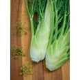 thumbnail image 3 of Burpee Perennial Fennel Florence Plant Seeds, 3 of 3