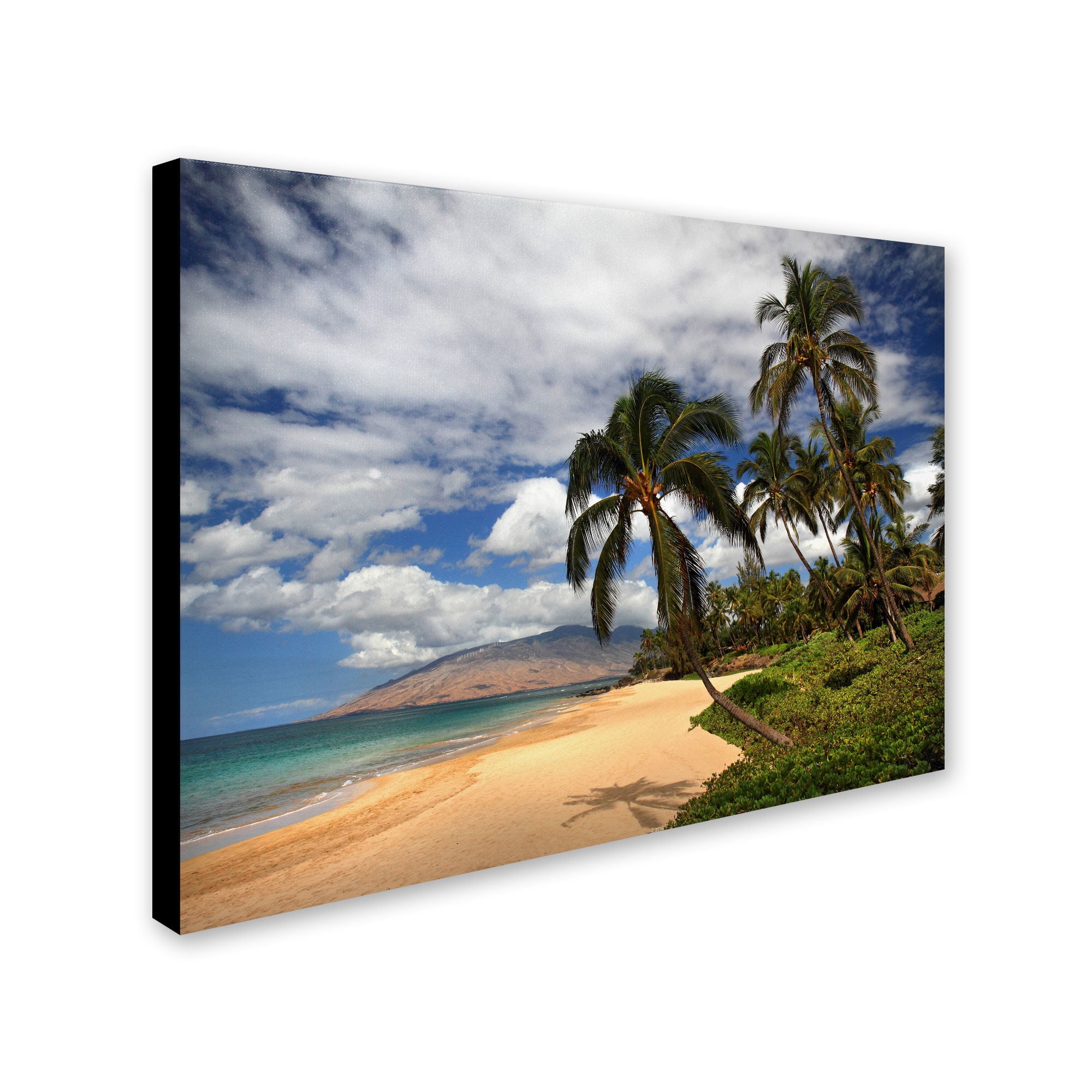 Trademark Fine Art "Kamaole Tropical" Canvas Art by Pierre Leclerc