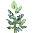 thumbnail image 3 of Northlight Potted Two Tone Green Calathea Artificial Floor Plant - 4', 3 of 7