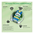thumbnail image 4 of Lechuga italiana Eva hidropónica 1 pieza, 4 of 4