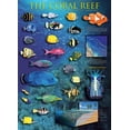 thumbnail image 2 of Eurographicspuzzles - The Coral Reef - Jigsaw Puzzle - 1000 Pieces, 2 of 2
