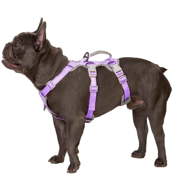Arnés para perros Huntboo Escape Proof Reflective Lavanda Morado M