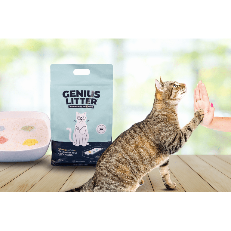 ALPHA PAW Genius Litter with Health Indicator Cat Litter, 6-lbs 