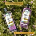 thumbnail image 5 of Shampoo Herbal Essences Bio:Renew Rosemary & Herbs 400 ml, 5 of 5